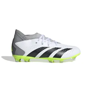 adidas Junior Predator Accuracy.3 FG IE9504 Outdoor Soccer Cleats