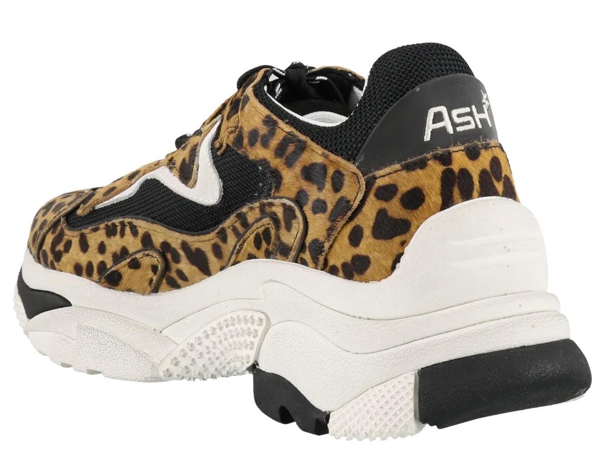 Ash Addict Ter Sneakers