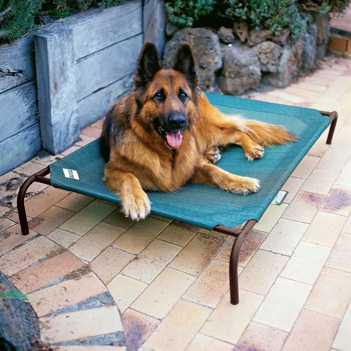 Coolaroo Raised Dog Beds Green (Large, X-Large)