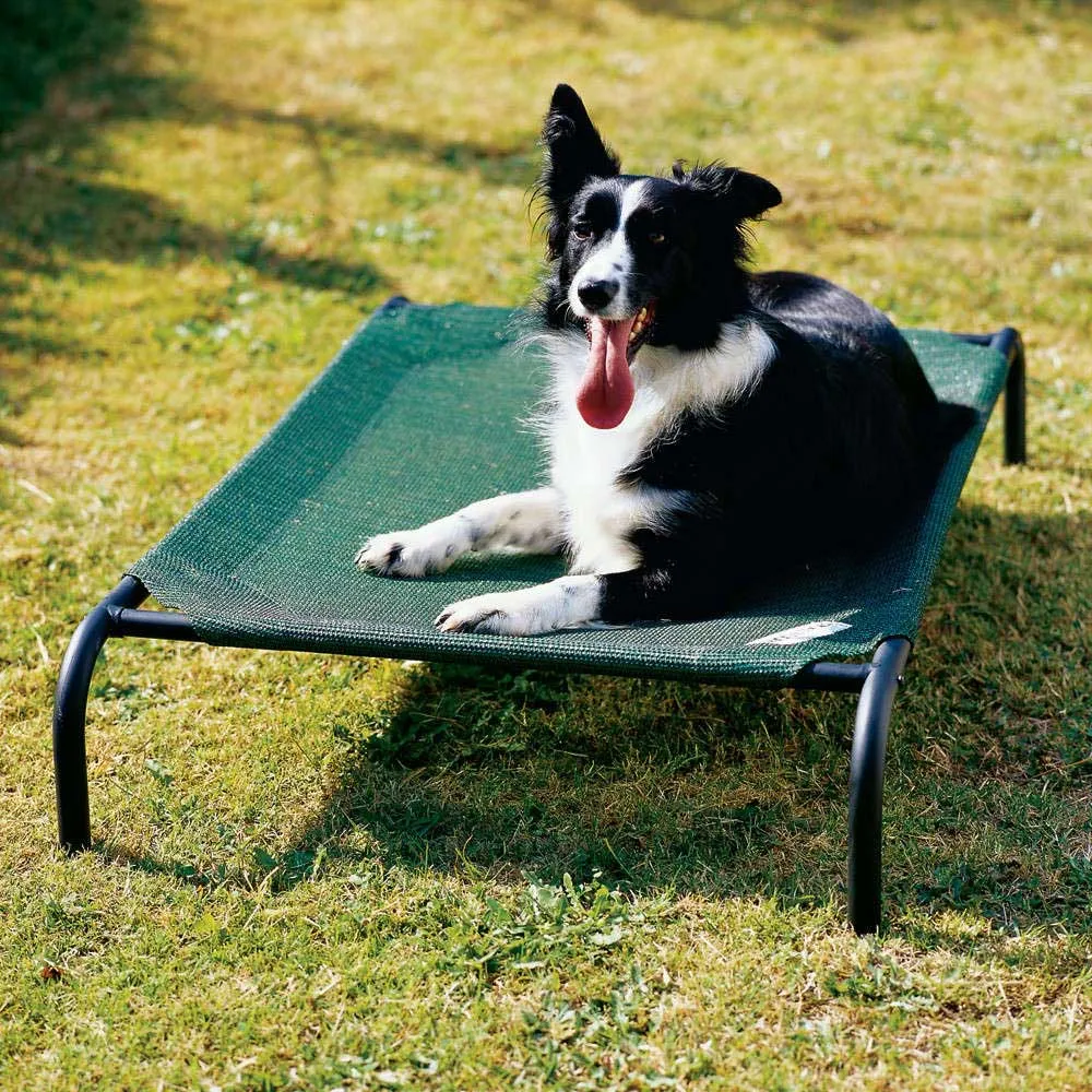 Coolaroo Raised Dog Beds Green (Large, X-Large)