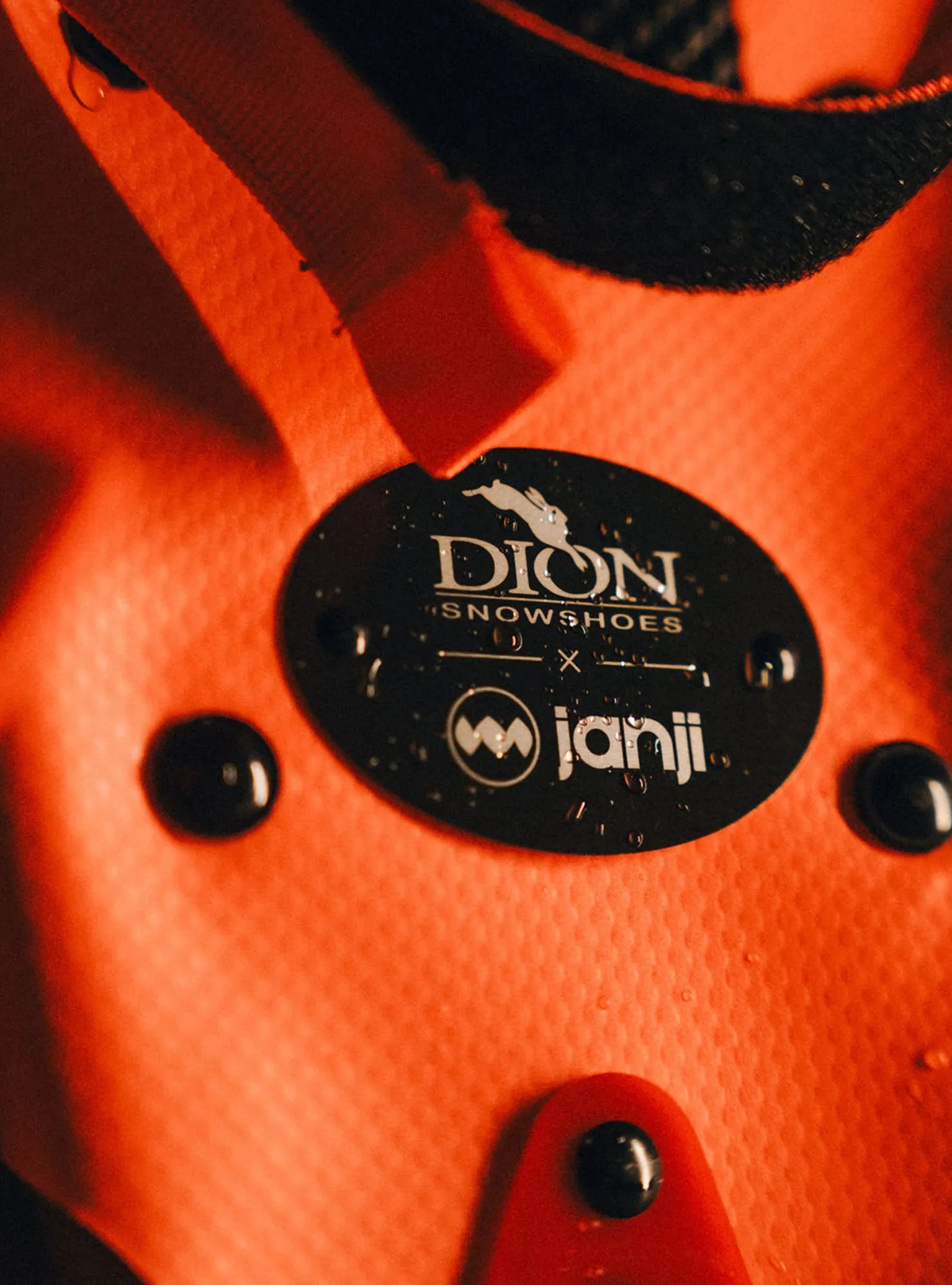 Dion x Janji Snowshoe