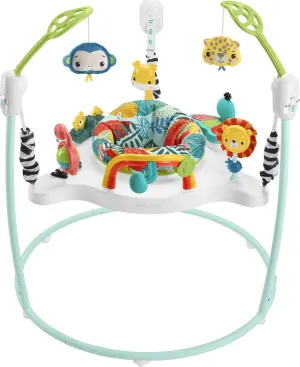 Fisher-Price Jumperoo Baby Activity Center.