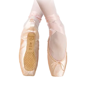 Nikolay Grishko Nova Pointe Shoe