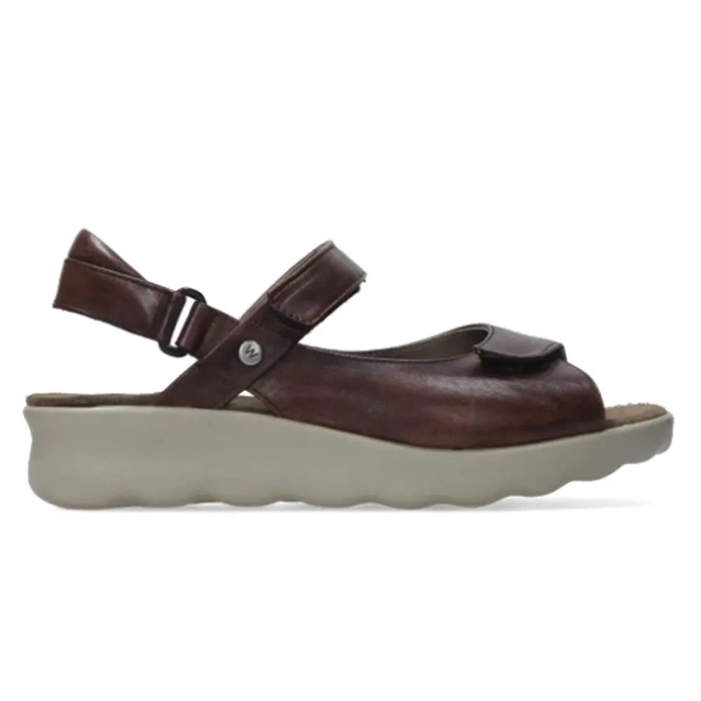 Pichu Sandal - 543 Cognac